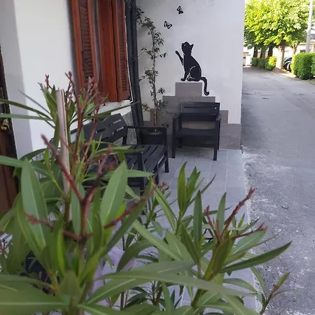 Intero :casa D D Nuova Aperturahost Rosi Omegna