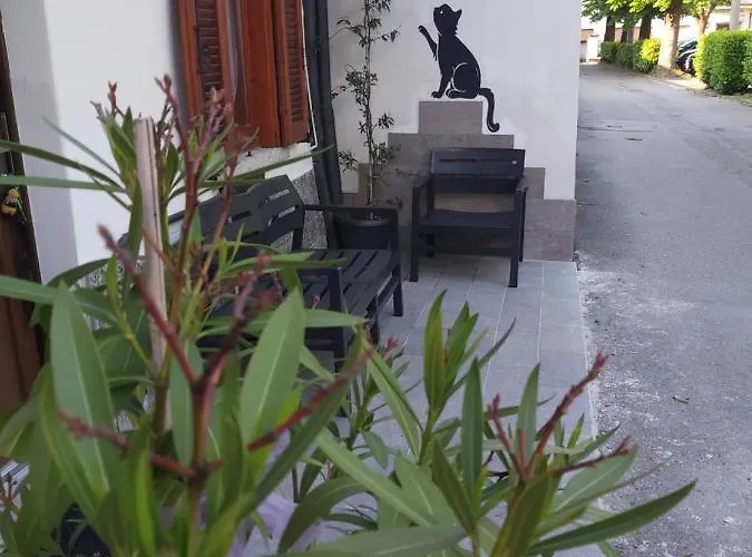 Intero :casa D D Nuova Aperturahost Rosi Omegna